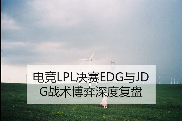 电竞LPL决赛EDG与JDG战术博弈深度复盘